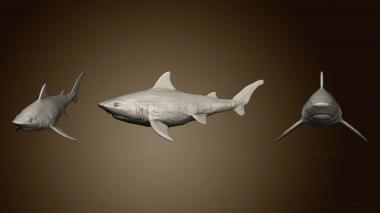 3D model Shark 8 (STL)